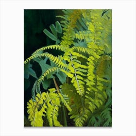 Maidenhair Spleenwort Cézanne Style Canvas Print