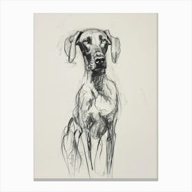 Weimaraner Dog Charcoal Line 1 Canvas Print