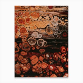 Agates Canvas Print