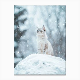 Kitty In The Snow. Generated with AI. Art Print Canvas Print