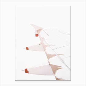 Aeroplane Canvas Print