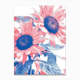 Sunflowers 111 Canvas Print