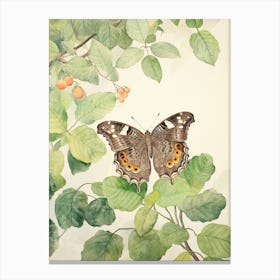 Storybook Animal Watercolour Butterfly 2 Canvas Print