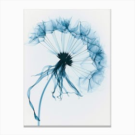 Dandelion Canvas Print