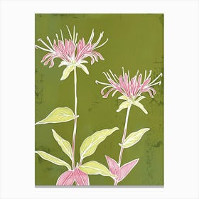 Pink & Green Bee Balm 2 Canvas Print