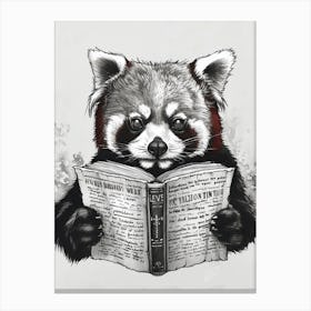 Red Panda Reading Ink Illustration 4 Canvas Print