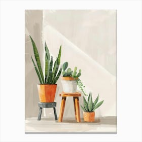 Cactus Plants In Pots Canvas Print