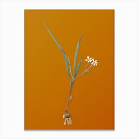 Vintage Gladiolus Inclinatus Botanical on Sunset Orange Canvas Print