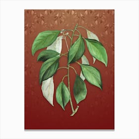 Vintage Camphor Tree Botanical on Falu Red Pattern n.1183 Canvas Print