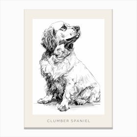 Clumber Spaniel Dog Line Sketch 1 Poster Canvas Print