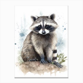A Chiriqui Raccoon Watercolour Illustration Storybook 1 Canvas Print