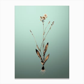 Gold Botanical Gladiolus Junceus on Mint Green Canvas Print
