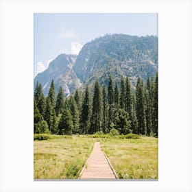 National Parks Yosemite Trees 1 Canvas Print