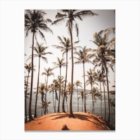 Palm Trees On The Beach in Sri Lanka Canvas Print