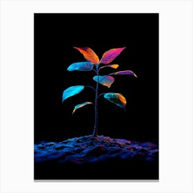 Tree In The Dark 13 Canvas Print