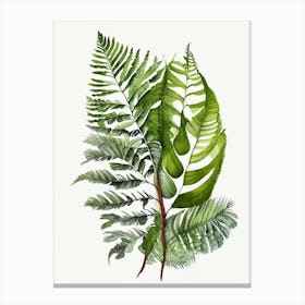 Crested Wood Fern Watercolour Canvas Print