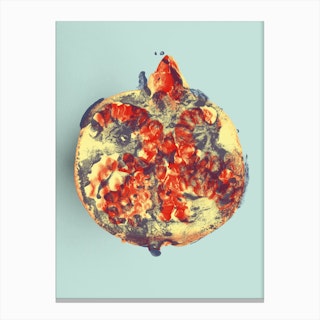 Ode aux Légumes Grenade Canvas Print