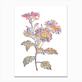 Stained Glass Red Aster Flowers Mosaic Botanical Illustration on White Canvas Print