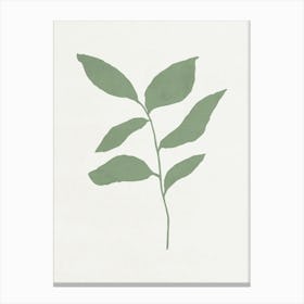 Minimalist Leaf 07 Canvas Print