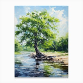 Tree By The River Canvas Print