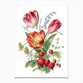 Tulips And Strawberries Canvas Print