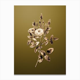 Gold Botanical Mossy Pompon Rose on Dune Yellow n.4263 Canvas Print