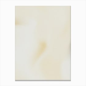 Close Up Of A White Flower Canvas Print