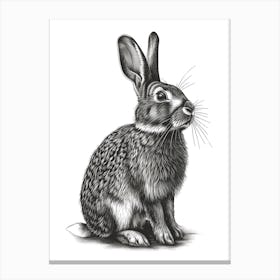 American Sable Blockprint Rabbit Illustration 4 Canvas Print