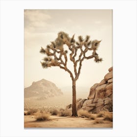  Photograph Of A Joshua Tree In Grand Canyon 2 Canvas Print
