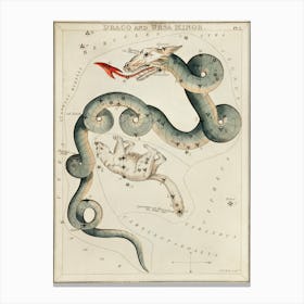 Sidney Hall’s (1831), Astronomical Chart Illustration Of The Draco And The Ursa Minor Canvas Print