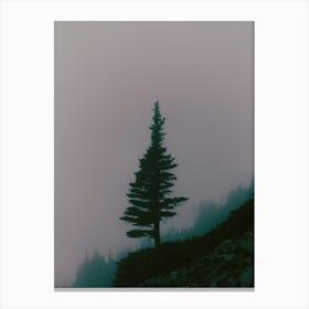 Lone Tree Canvas Print