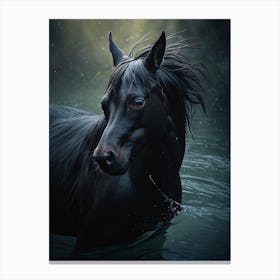 Black Horse In The Water Print Canvas Print