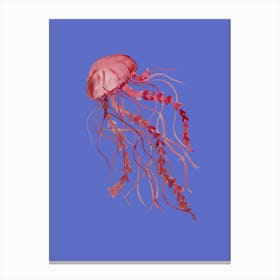 Pink Jellyfish Canvas Print