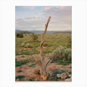 Abiquiu Sunset on Film Canvas Print