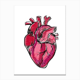 Human Heart Illustration 1 Canvas Print
