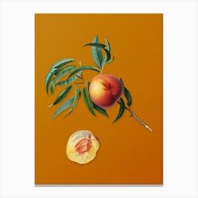 Vintage Peach Botanical on Sunset Orange n.0468 Canvas Print