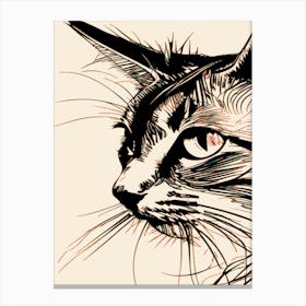 Portrait Of A Stray Cat 1 Canvas Print