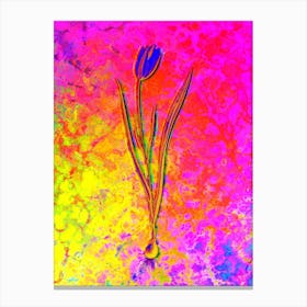 Lady Tulip Botanical in Acid Neon Pink Green and Blue n.0004 Canvas Print