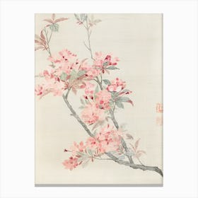 Chinese Cherry Blossoms 1 Canvas Print