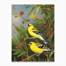 American Goldfinch Haeckel Style Vintage Illustration Bird Canvas Print