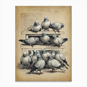 Pigeons On A Shelf Canvas Print