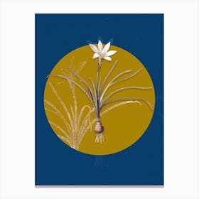 Vintage Botanical Rain Lily on Circle Yellow on Blue Canvas Print