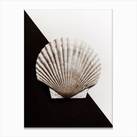 Black And White Shell 1 Canvas Print