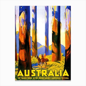 Australia, The Tallest Trees In The British Empire Canvas Print