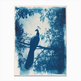 Cyanotype Inspired Peacock In The Tree 2 Canvas Print