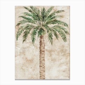 Palm Tree 65 Canvas Print