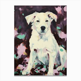 A Border Collie Dog Painting, Impressionist 3 Canvas Print