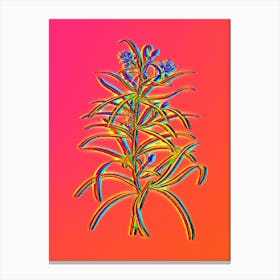Neon Narrow Leaved Spider Flower Botanical in Hot Pink and Electric Blue n.0412 Canvas Print