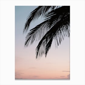 Palm Tree Silhouette Canvas Print