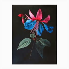 Fuchsia Canvas Print